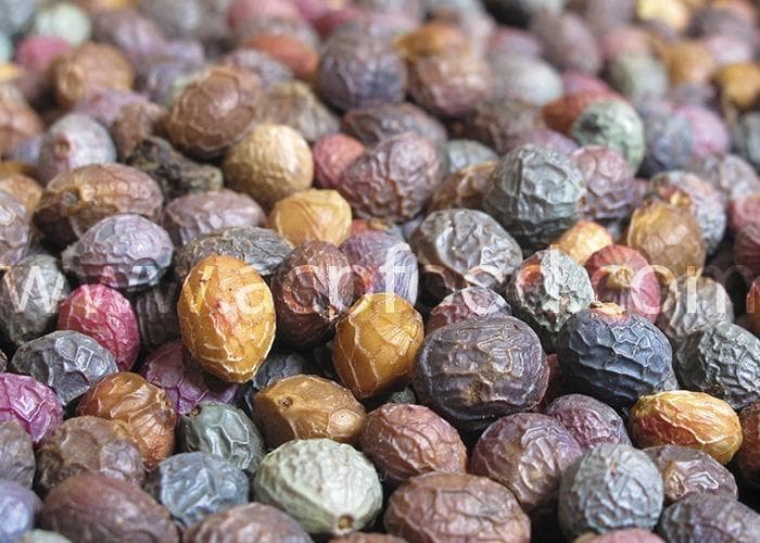 Persian Turpentine Fruit (Baneh)