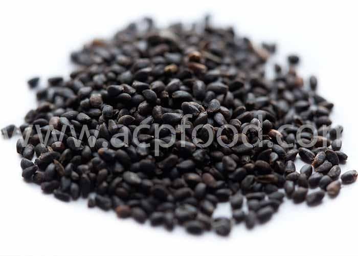 Hoary Basil Seeds