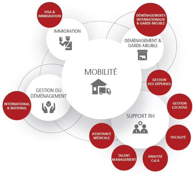 Relocation / Mobilité International