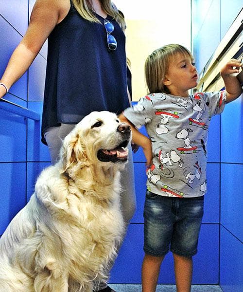 Instalación de ascensores