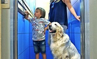 Mantenimiento de ascensores Valencia