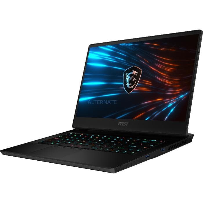 MSI GS66 Stealth 11UG-228BE, 15.6", Notebook Gaming