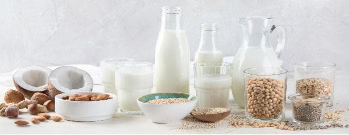 Isoliertes Soja Protein 90%