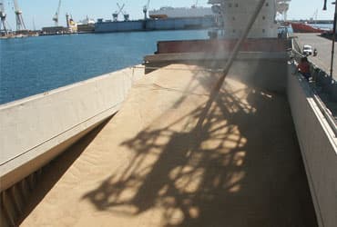 Bulk Cargo Loading & Unloading