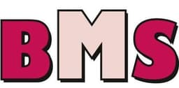 BMS Baumaschinen GmbH
