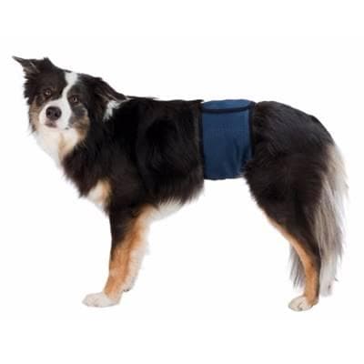 Bandes Ventrale Pour Chiens Mâles Incontinents, L 55-65 Cm, Bleu Foncé