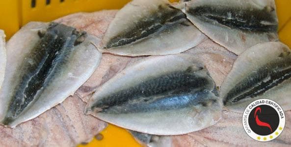 Filete de Caballa