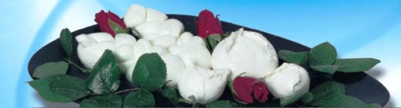 Mozzarella di Bufala Campana DOP