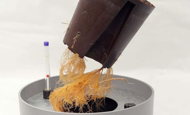 Hydro Profi Line® Pflanzgefäße Für Hydrokulturpflanzen