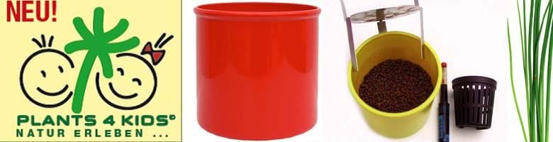 Plants 4 Kids / Plants For Kids