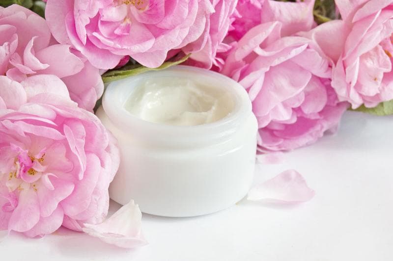 Expert De La Science Végétale