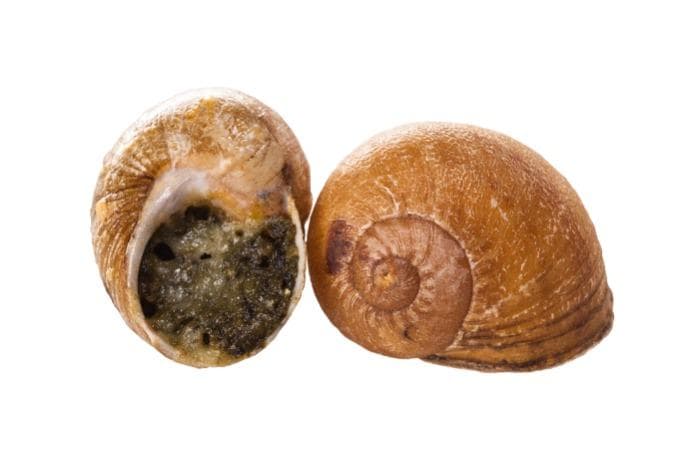 Escargot with pesto sauce
