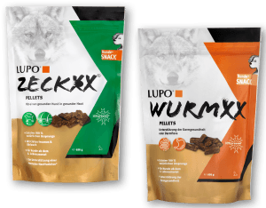 Kopek atistirmaliklari