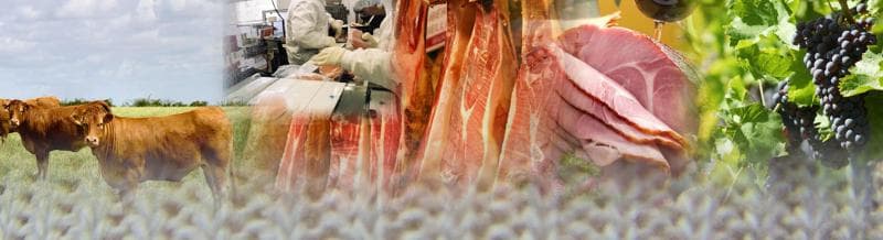 Tricots Agroalimentaires