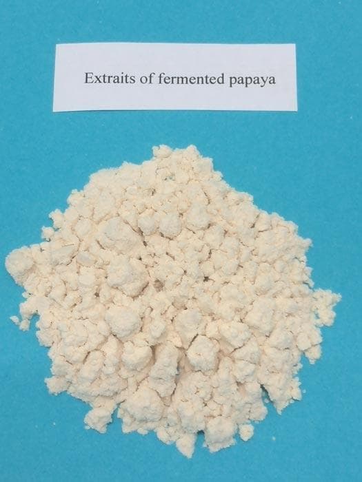 Extraits secs de papaye fermentée