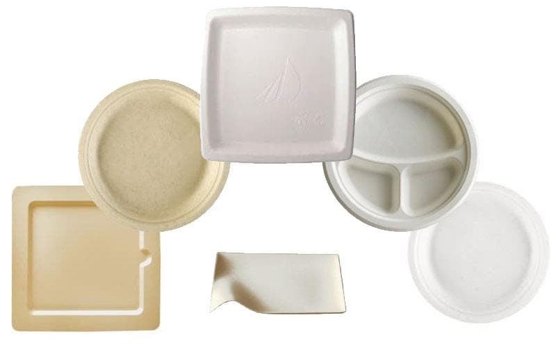 Assiette biodégradable