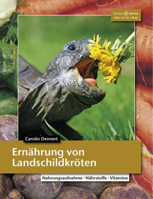 Ernährung von Landschildkröten