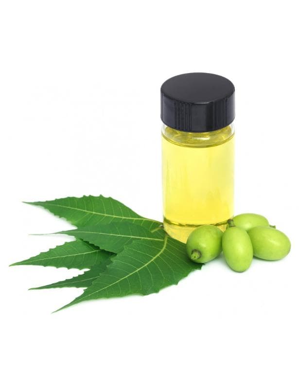 Huile Végétale Vierge De Neem Biologique