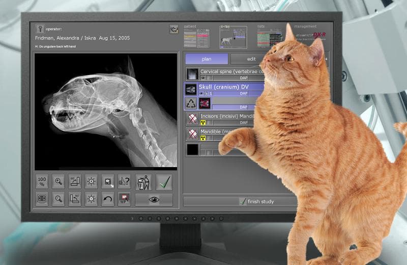X-ray image acquisition and diagnostic software