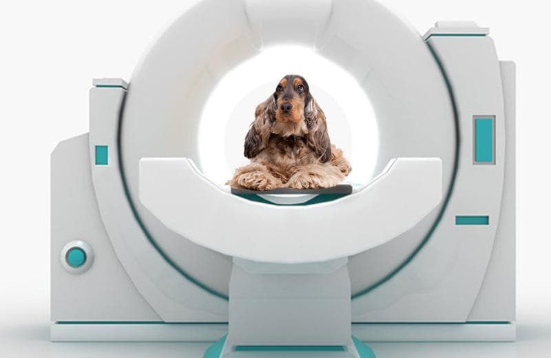 Administration and diagnosis of image slices