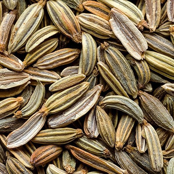 Fennel Extract