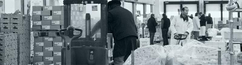 fromage à pâtes molles