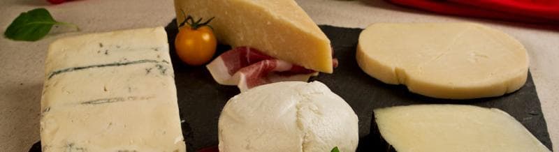 fromages  de chèvres