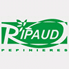 RIPAUD PEPINIERES