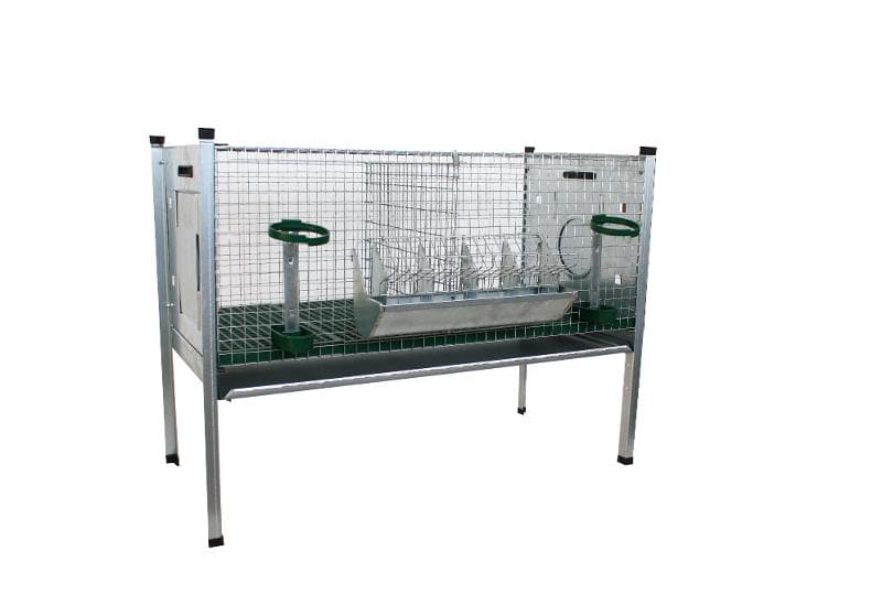 Conigliera Eko Due Scomparti Ingrasso