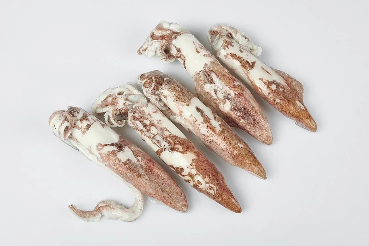 Gemide dondurulmus kalamar