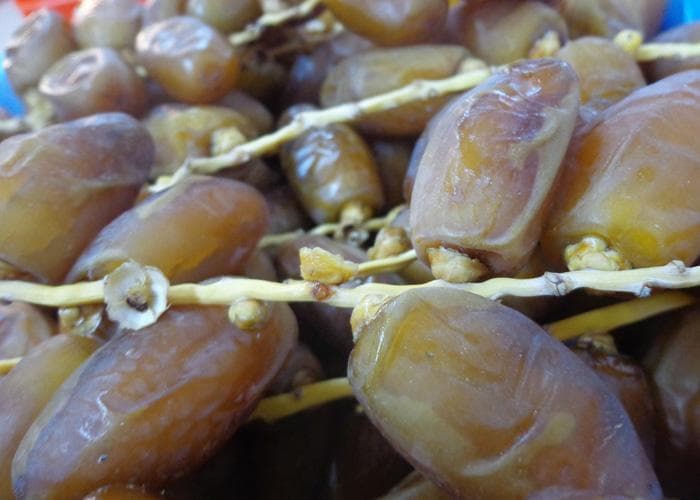 Dattes Branchées Cat I