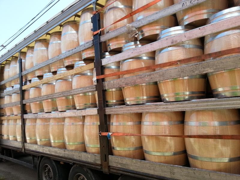 Chêne européen - Origine Espagne, Portugal