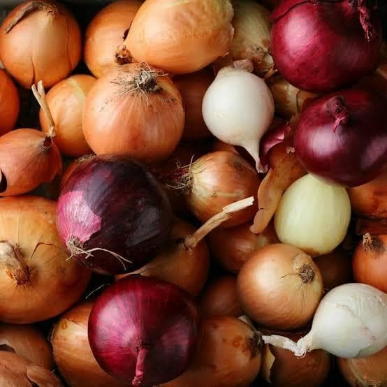 Oignon