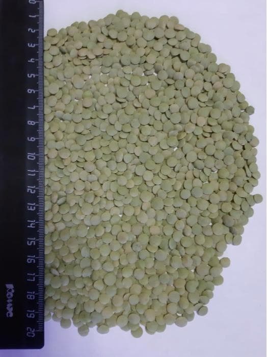Green Lentils