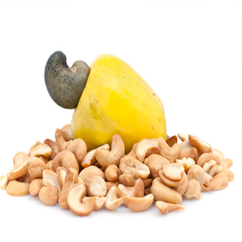 Cashew