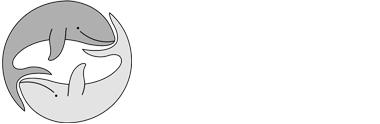 4 VENTI S.R.L.
