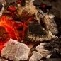 wood coal