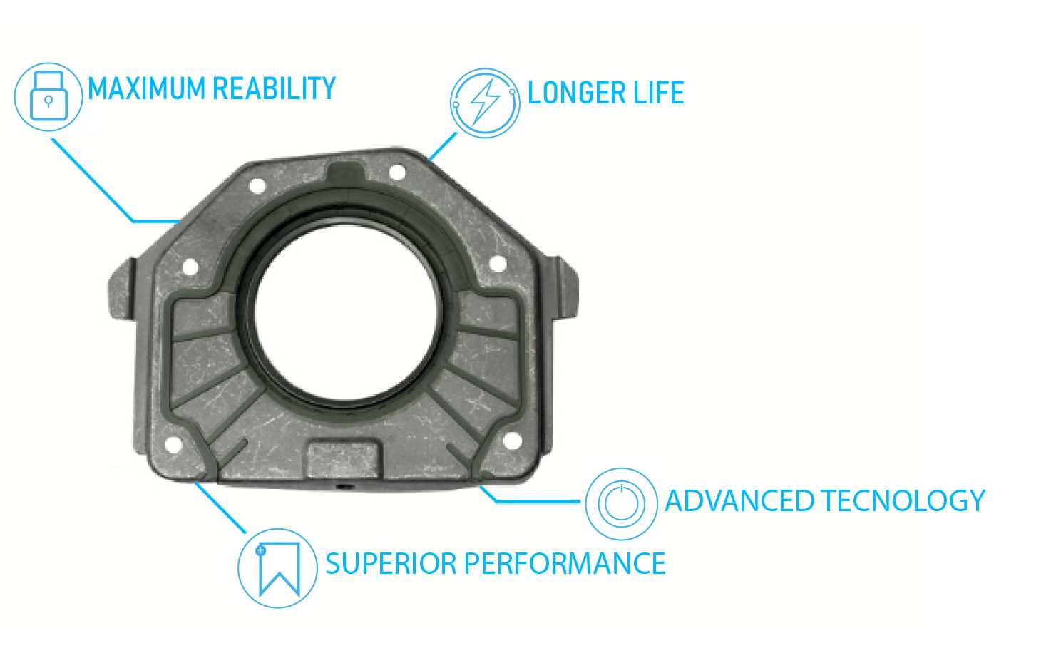 OIL SEALS