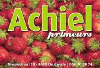 ACHIEL PRIMEURS