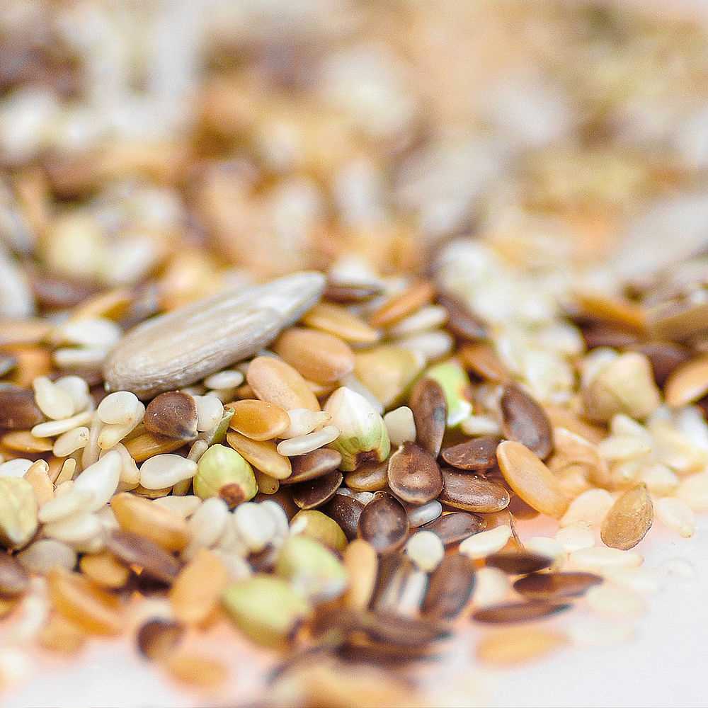 BAKING SEED MIXES ORGANIC