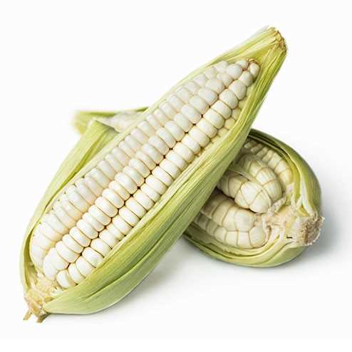 Beyaz mısır / Dondurulmuş