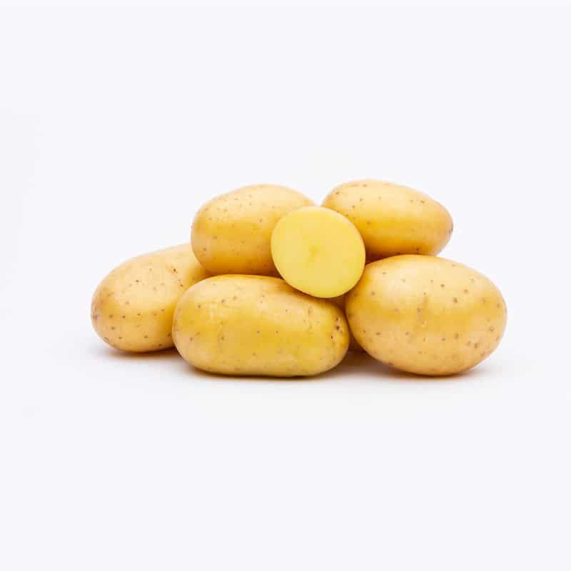 patates tohumlari
