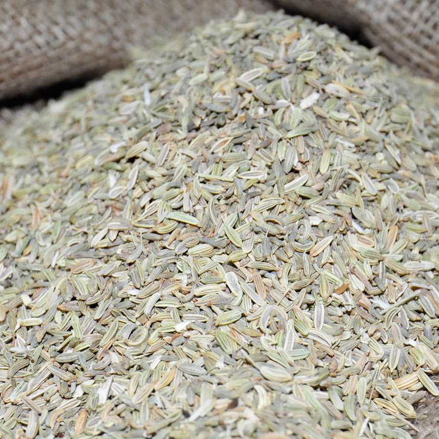 FENNEL SEEDS
