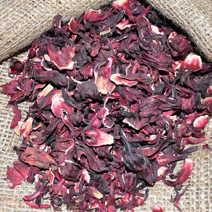 HIBISCUS FLOWER
