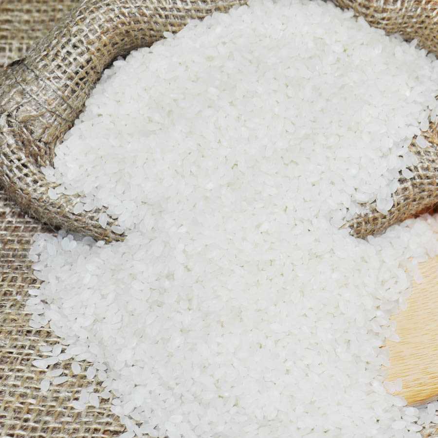 CAMOLINO RICE