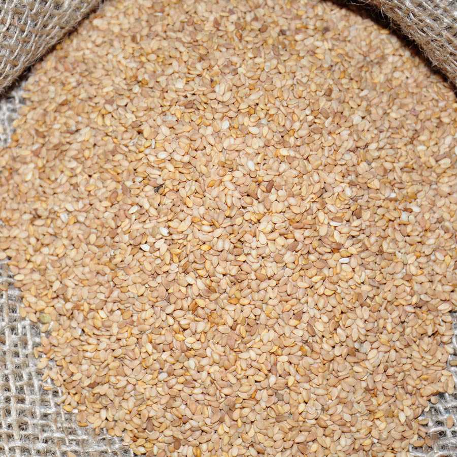 SESAME SEEDS