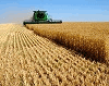 ALLGRAIN.RU