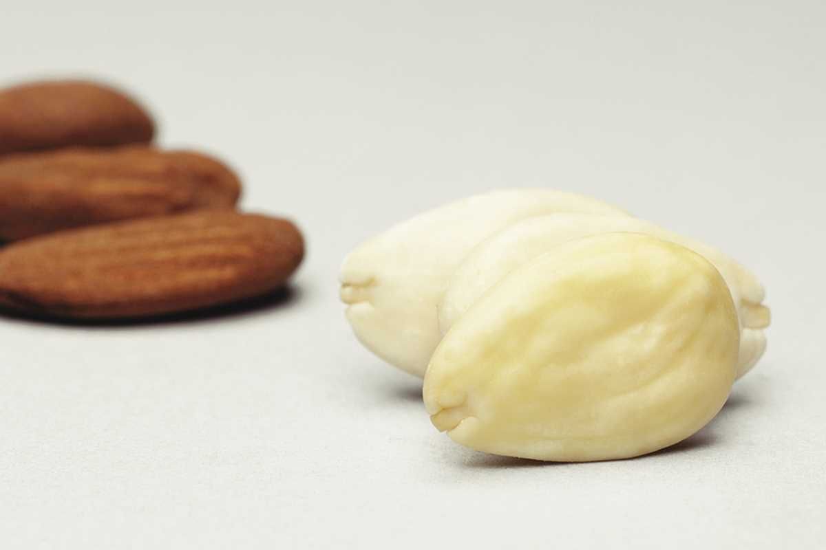 Whole Blanched Almond