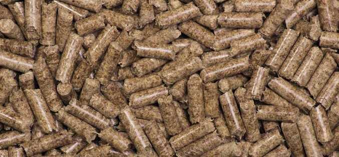 Hard wood pellets