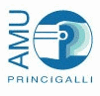 AMU PRINCIGALLI SRL